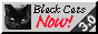 Black cats now!